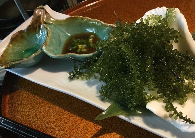 海